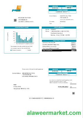USA New Mexico PNM easy fillable business utility bill template in Word and PDF formats
